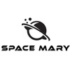 spacemarydisposable.com